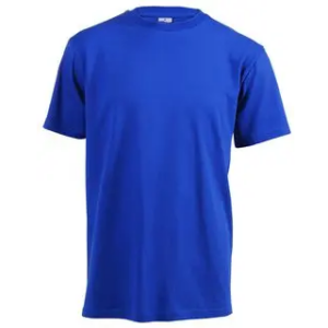 Lightweight T-shirt (Royal, S)